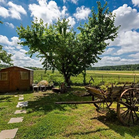 Domaine Du Bois Des Anges Bed & Breakfast Germigny-l'Eveque Eksteriør bilde