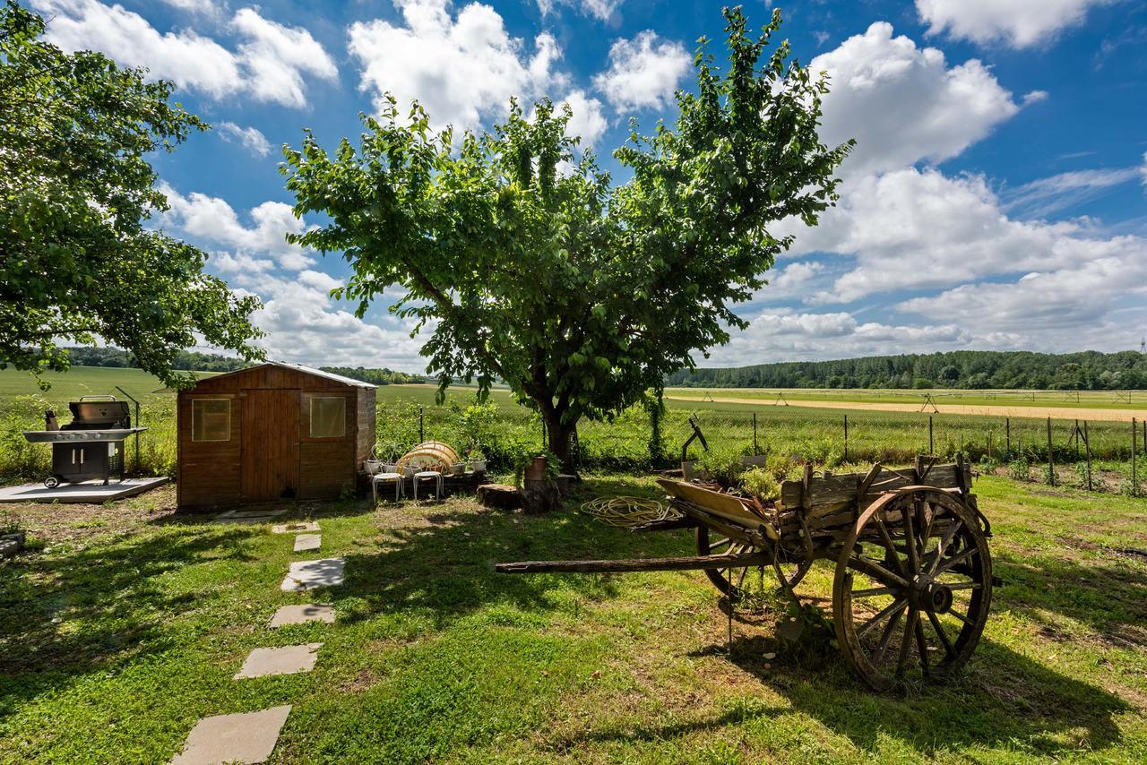 Domaine Du Bois Des Anges Bed & Breakfast Germigny-l'Eveque Eksteriør bilde